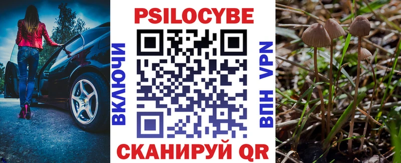 Галлюциногенные грибы GOLDEN TEACHER  как найти   Сокол 