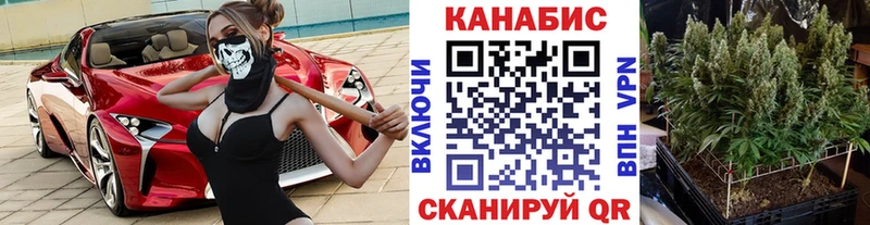 где купить   Сокол  Каннабис Amnesia 